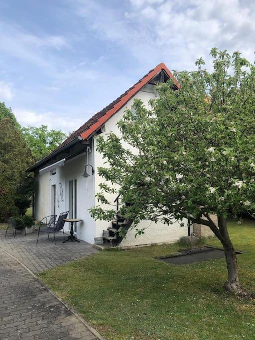 Lakeside Studio - Haus Mit Seezugang Кёнигс-Вустерхаузен Экстерьер фото