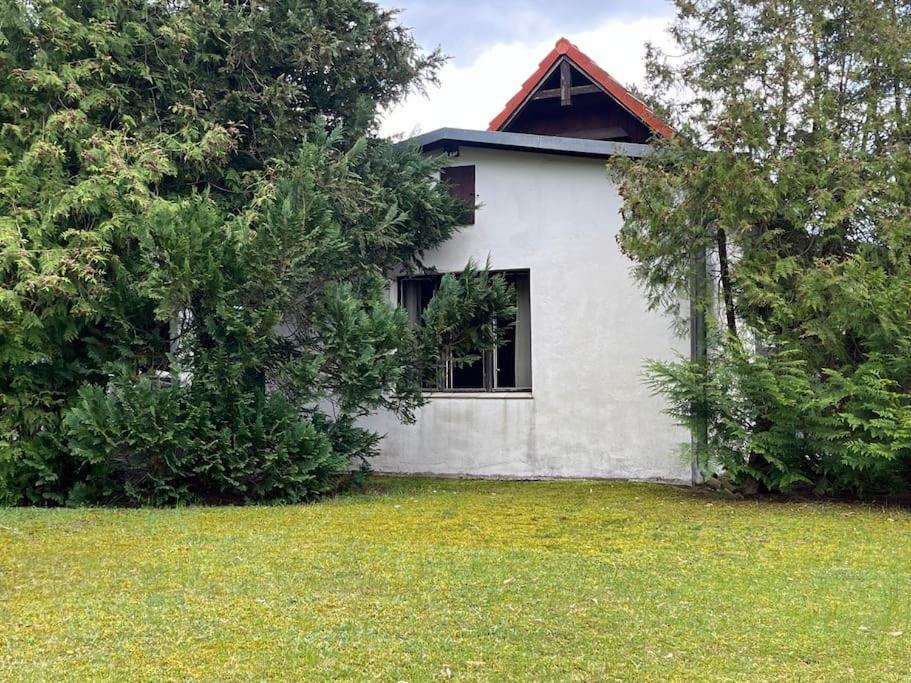 Lakeside Studio - Haus Mit Seezugang Кёнигс-Вустерхаузен Экстерьер фото